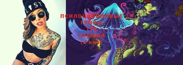 индика Алзамай