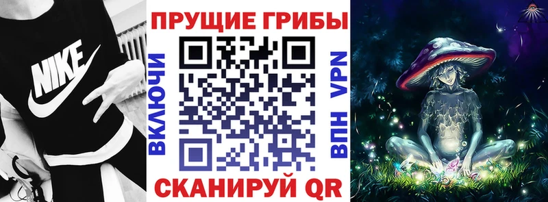 Псилоцибиновые грибы Cubensis  OMG рабочий сайт  Ивангород 